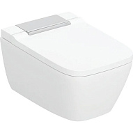 146.250.21.1 Подвесной унитаз-биде Geberit AquaClean Sela Square, хром 500_191_1430258